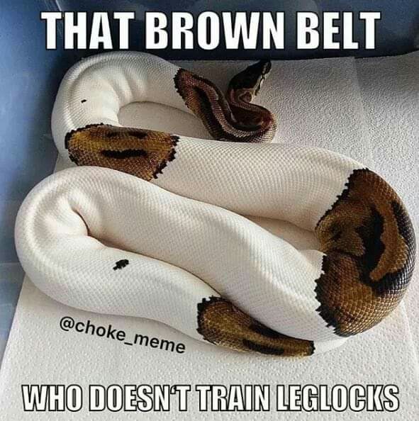 Post a bjj meme that’s never not funny (pic). 