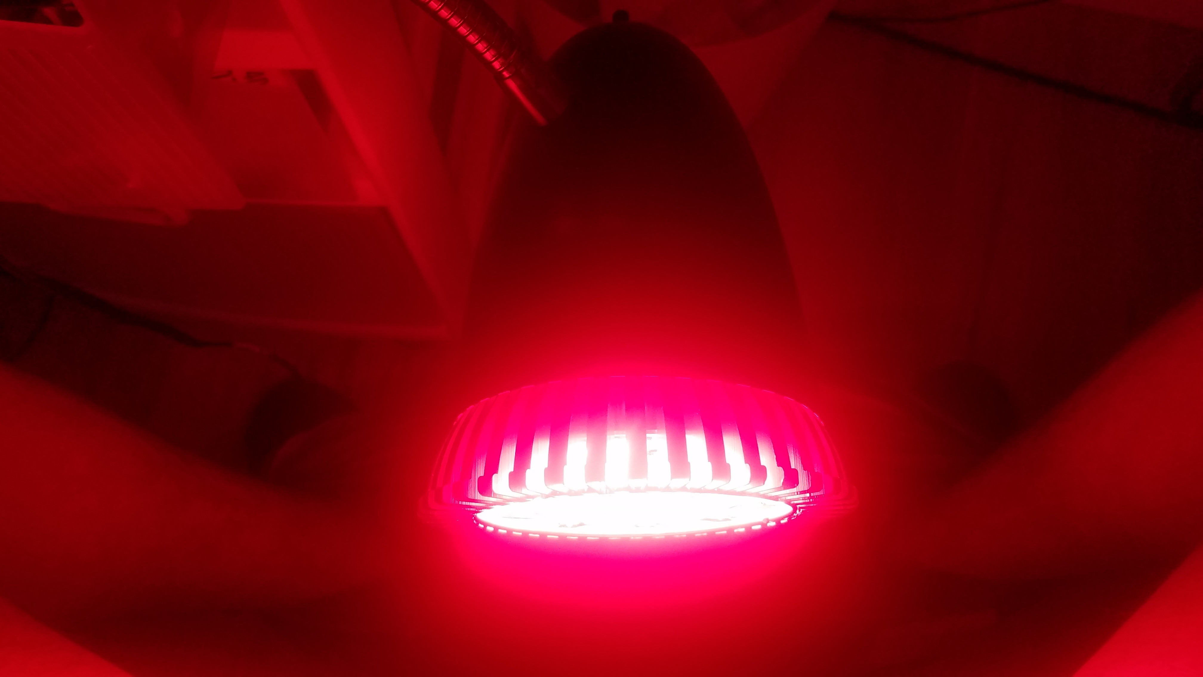 Tanning your balls for higher Testosterone Page 7