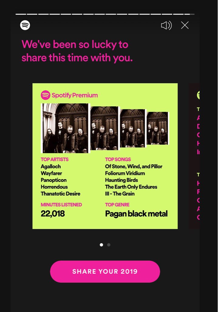 my spotify stats this year