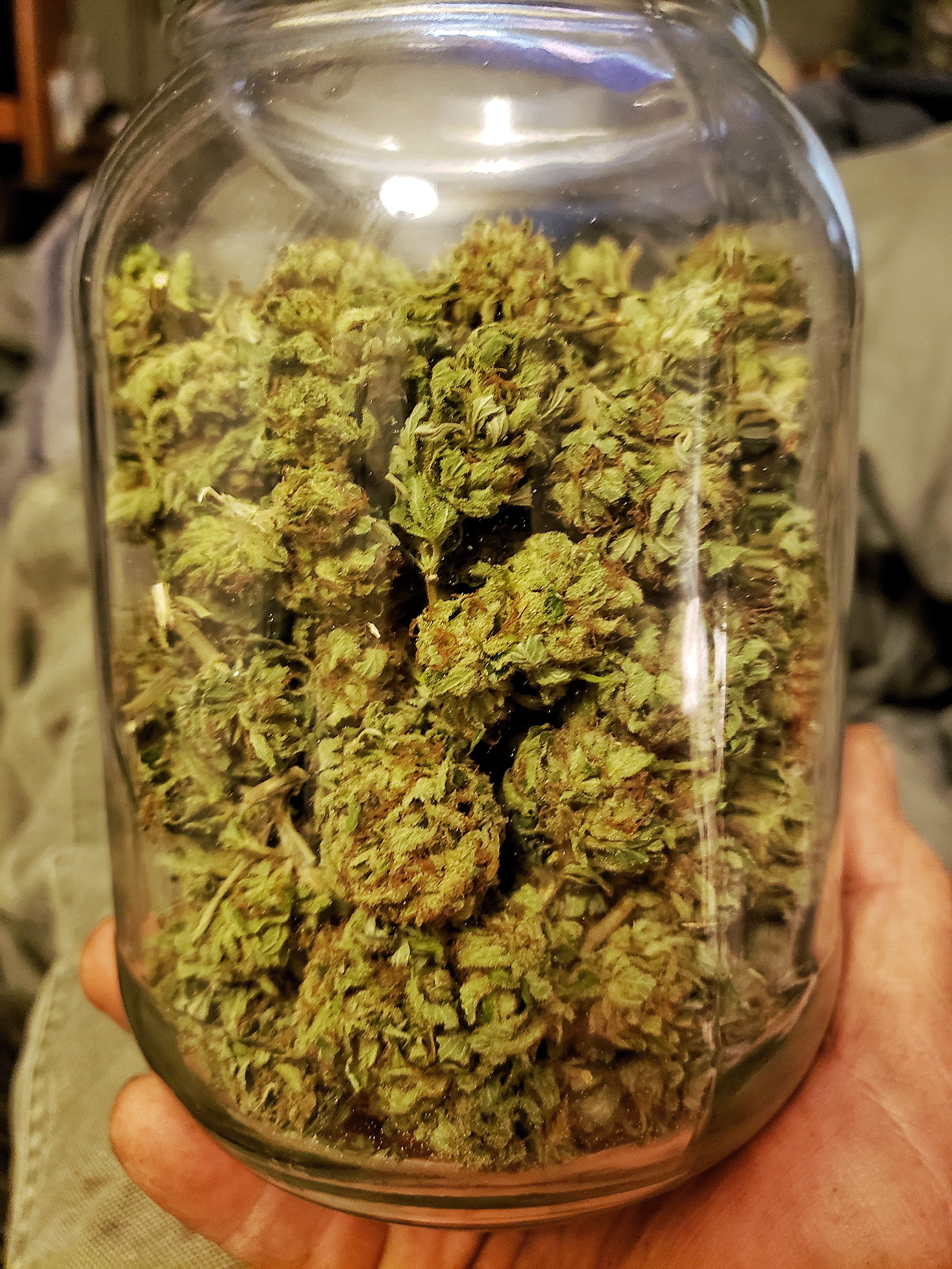 420 Connoisseurs Post Your Buds 