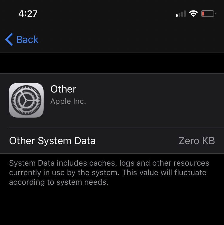 Что значит other system data в айфоне