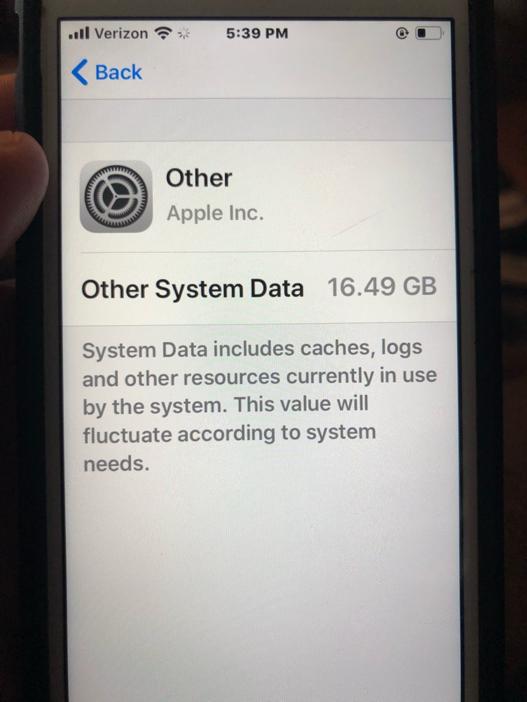 Что значит other system data в айфоне