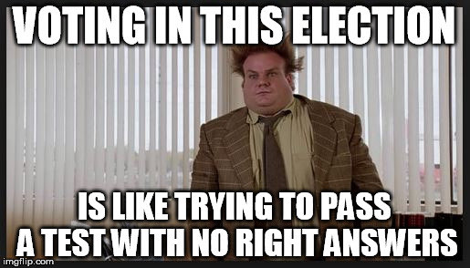 Try like. Мем vote. Election voting memes. Chris Farley meme. Meme about election.